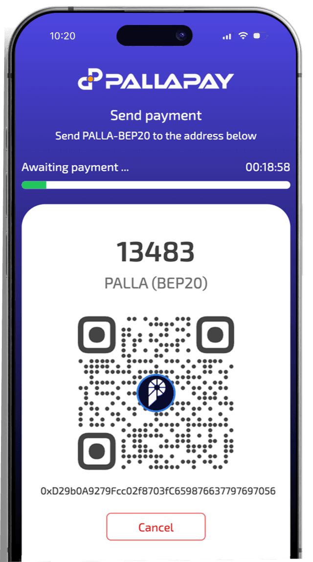 Online Crypto Payment