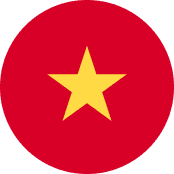 Vietnam Flag