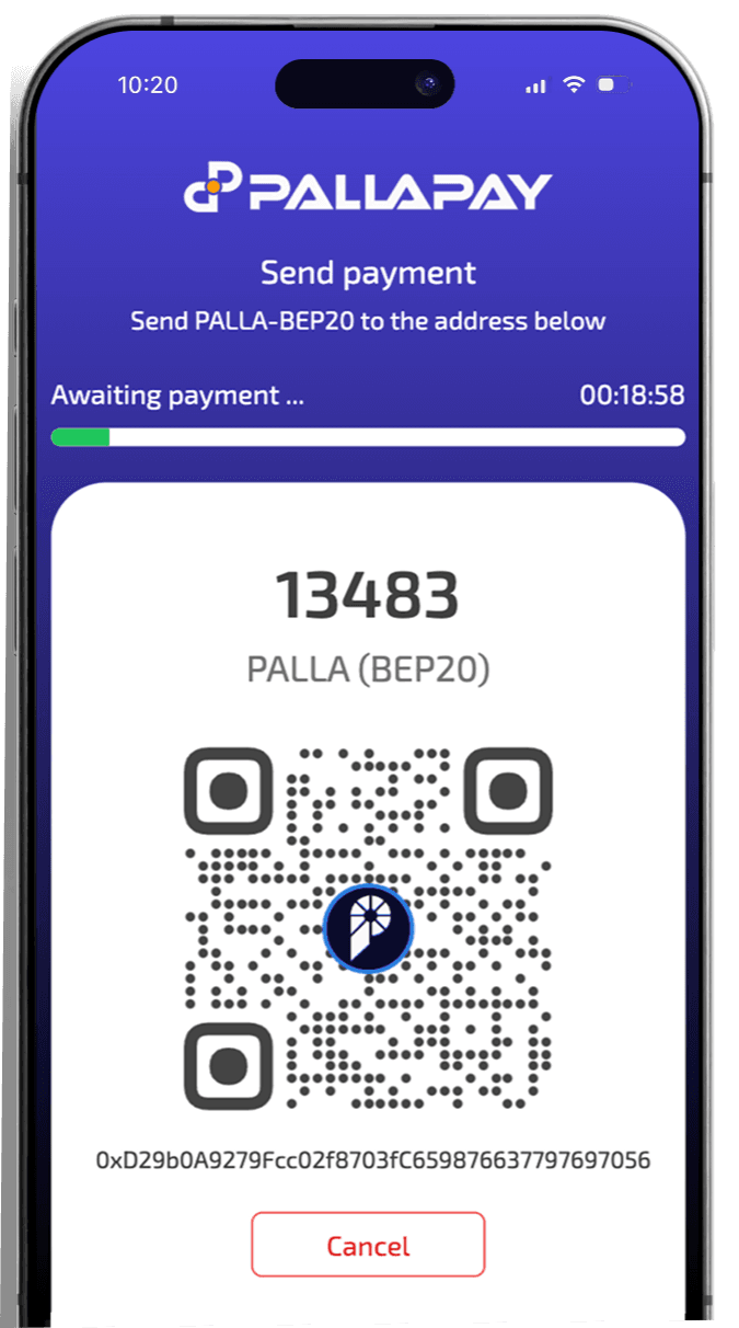 Online Crypto Payment