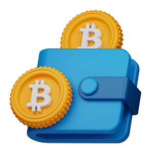 Bitcoin wallet icon