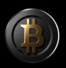 Bitcoin (BTC) coin icon