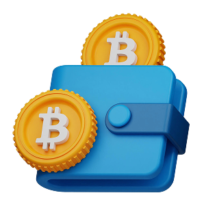 Bitcoin wallet