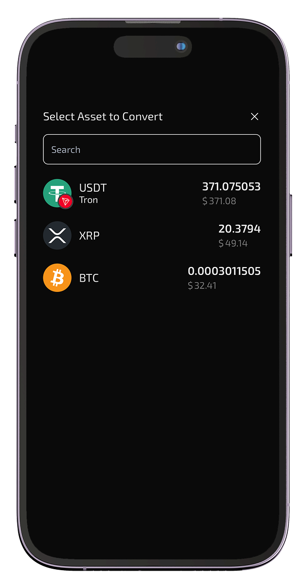 Pallapay Wallet in Use